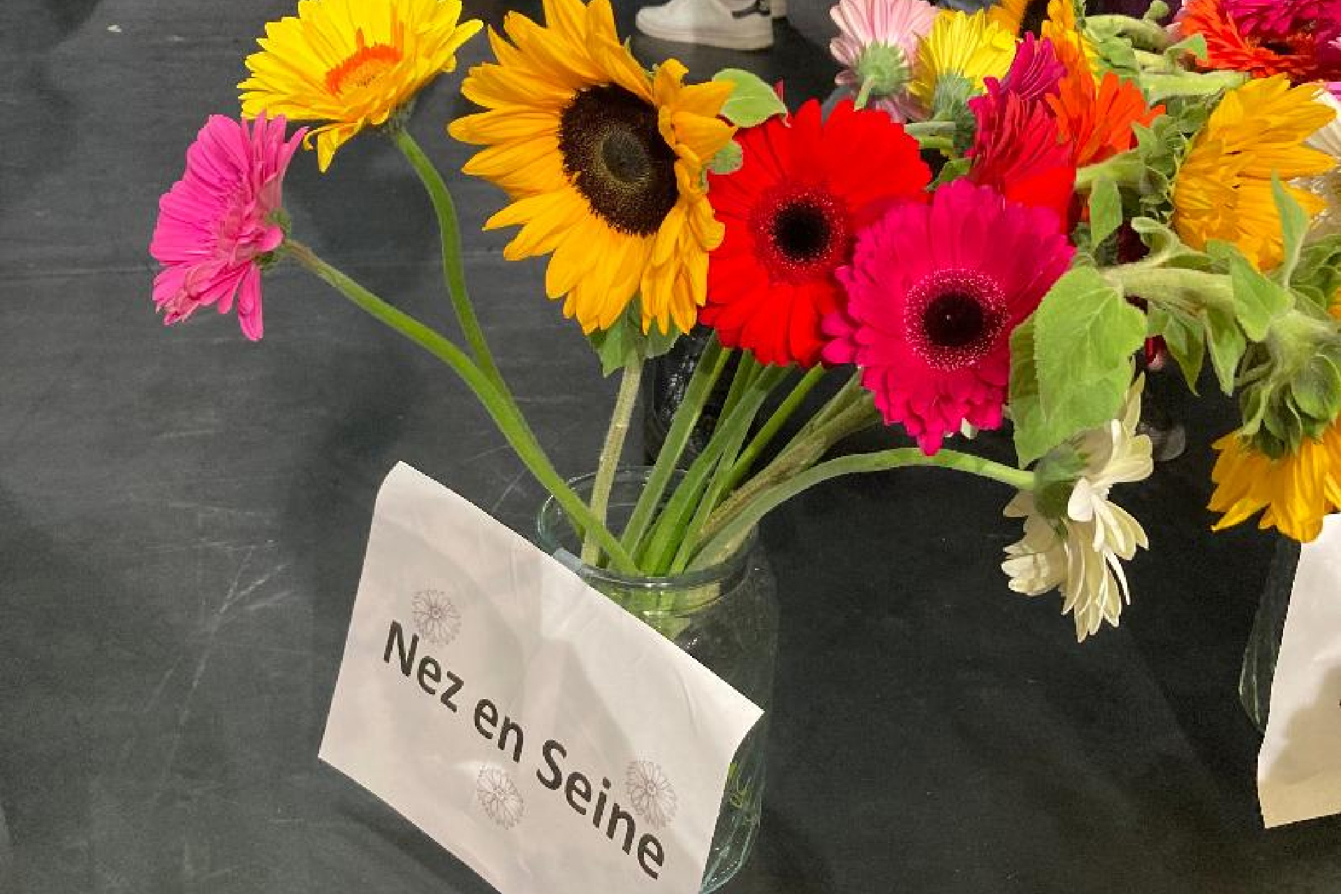 nez en seine