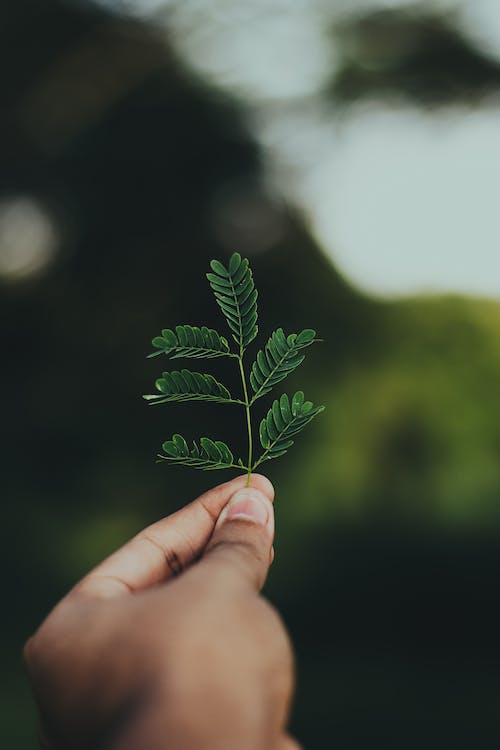 Industrie décarbonnée